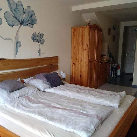 Apartmán Liliana Vendeghaz Balatonfůzfő Pokoj fotografie