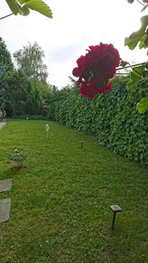 Apartmán Liliana Vendeghaz Balatonfůzfő Exteriér fotografie
