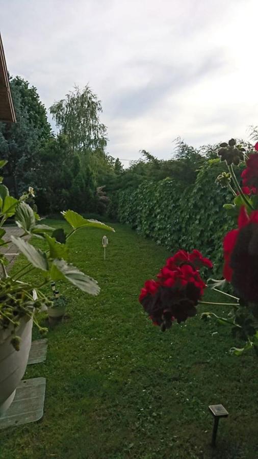 Apartmán Liliana Vendeghaz Balatonfůzfő Exteriér fotografie